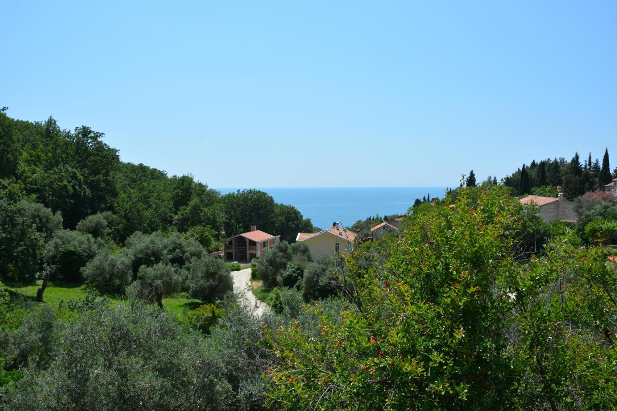 Apartments Djedovic 2 Petrovac 객실 사진